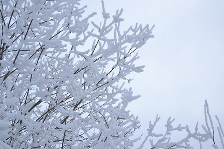 Neige au champ du feu  32 km du Gite en Alsace